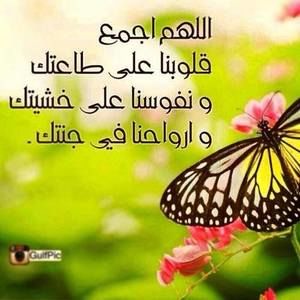 Meet your Posher, Affaf