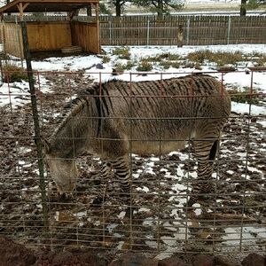 Meet your Posher, Charles