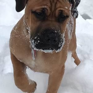 Meet your Posher, Tracy