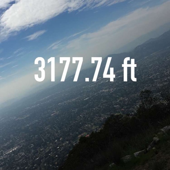 Meet your Posher, Delia - Picture 3 of 5