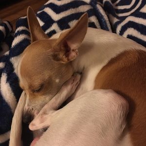 Meet your Posher, Mandy