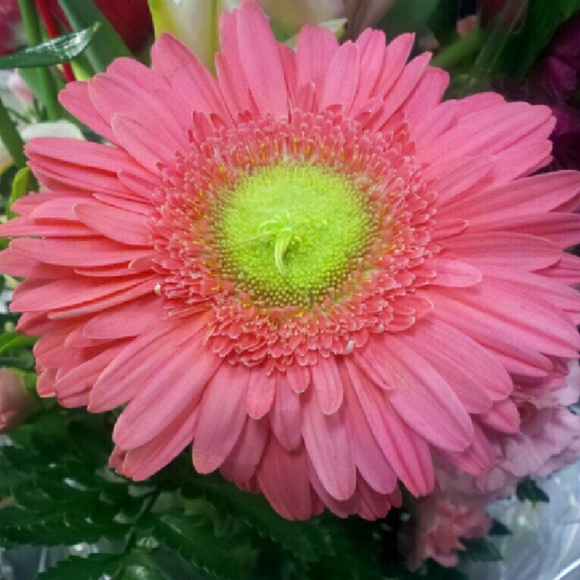 Bookmark My Closet! Let's SHOP! - Picture 4 of 5