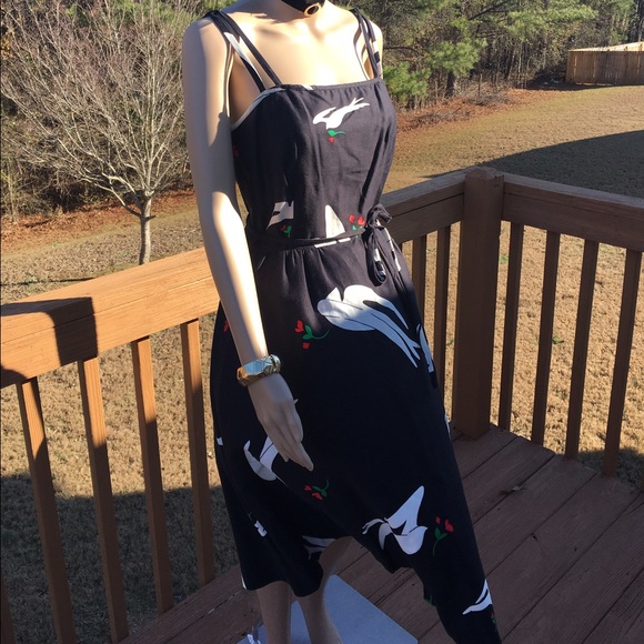 Vintage European A line dress with Embroidery