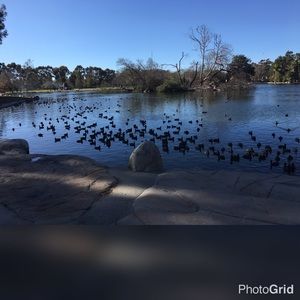 Meet your Posher, Debbie