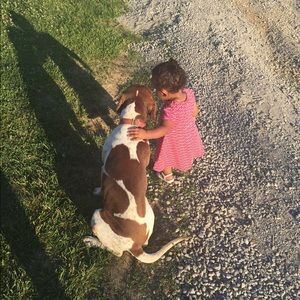 Meet your Posher, Tanner