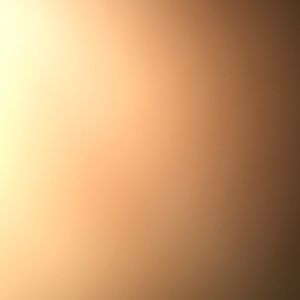 Meet your Posher, Xavier