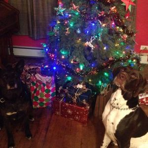 Meet your Posher, Becky