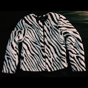 濾 Zebra striped faux fur