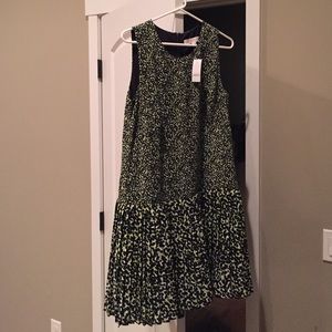 Anne Taylor Loft Dress
