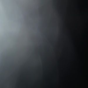 Meet your Posher, Misty