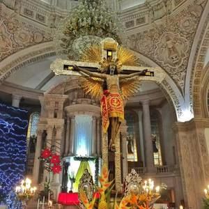 Meet your Posher, Betty