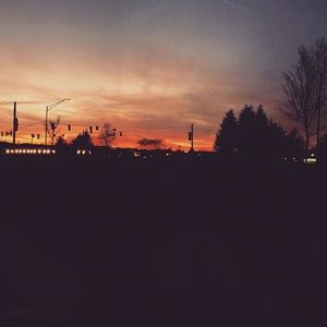 Meet your Posher, Callie