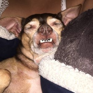 Meet your Posher, Janet