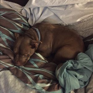 Meet your Posher, Jonathon