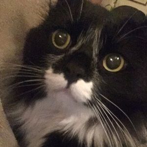Meet your Posher, Sierra
