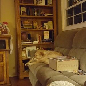 Meet your Posher, Michele