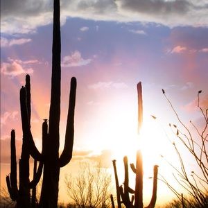 Meet your Posher, Molly