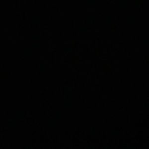 Meet your Posher, Cassidy