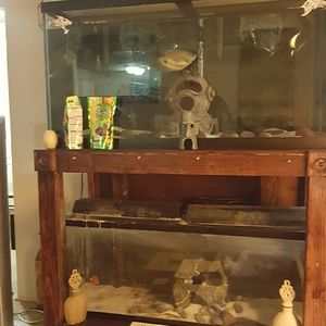 Meet your Posher, Tonya