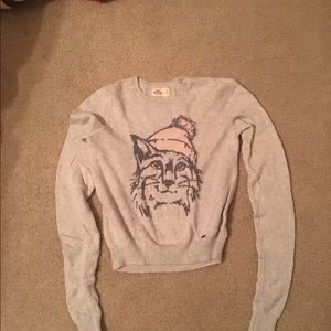 Hollister sweater