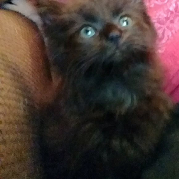 Meet your Posher, Kay - Picture 4 of 8