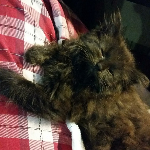 Meet your Posher, Kay - Picture 5 of 8