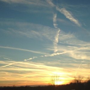 Meet your Posher, Sydney