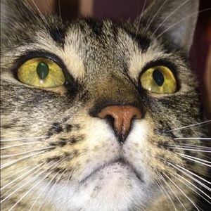 Meet your Posher, Natalie