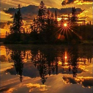 Meet your Posher, Sonia