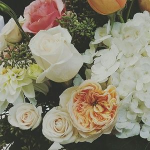 Meet your Posher, Imalay