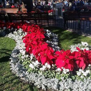 Meet your Posher, Debbie payne