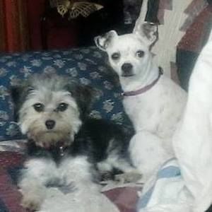 Meet your Posher, Deborah