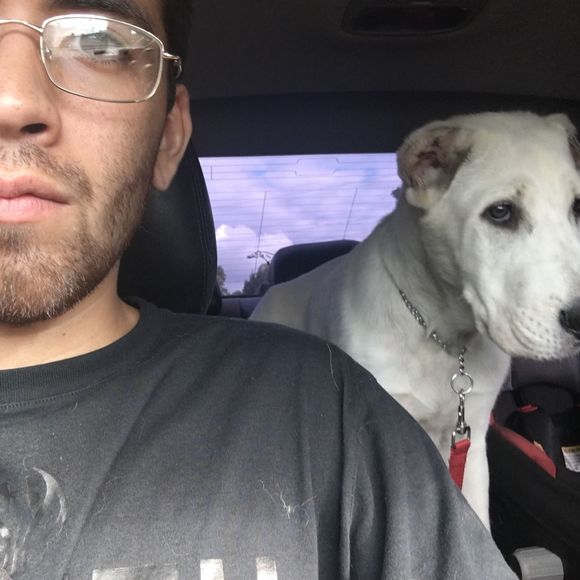 Meet your Posher, Austin