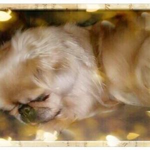 Meet your Posher, Katrina