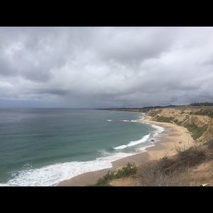 Meet your Posher, Riley