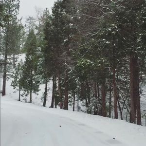 Meet your Posher, Evan