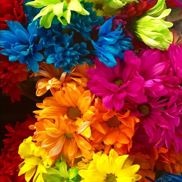 Meet your Posher, Silvia - Picture 2 of 2