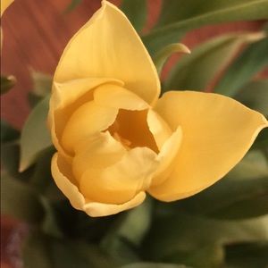 Meet your Posher, Sam