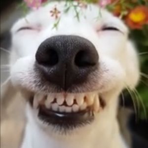 Meet your Posher, Fernando