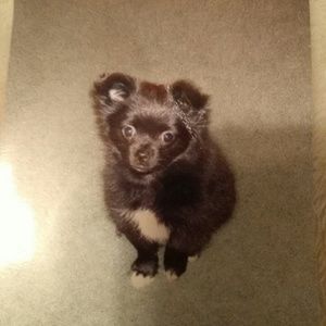 Meet your Posher, Sheila