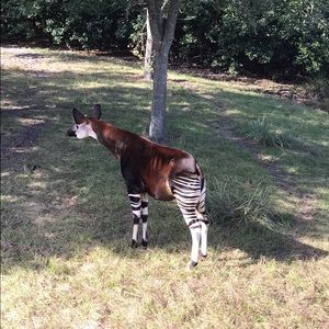 Meet your Posher, Jenna