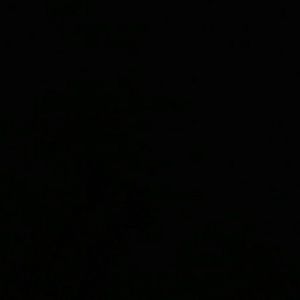 Meet your Posher, Randi