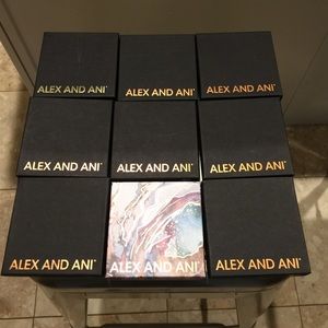 9 Alex and ani boxes