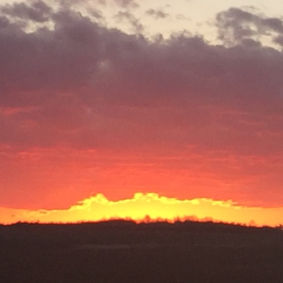 Meet your Posher, Nancy - Picture 1 of 2