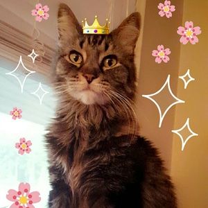 Meet your Posher, Paula