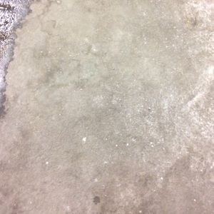 Meet your Posher, Paul