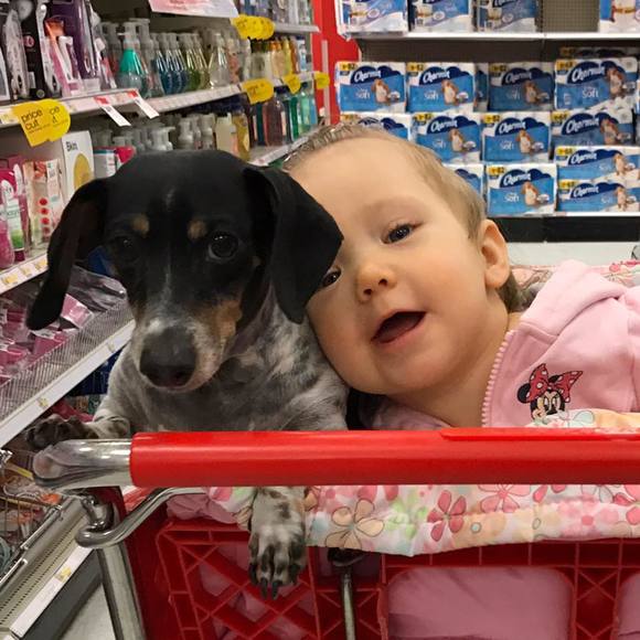 Meet your Posher, Rob