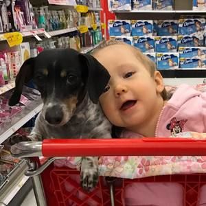 Meet your Posher, Rob