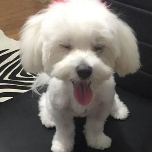 Meet your Posher, Izolda