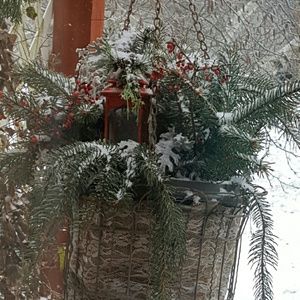 Meet your Posher, Annette